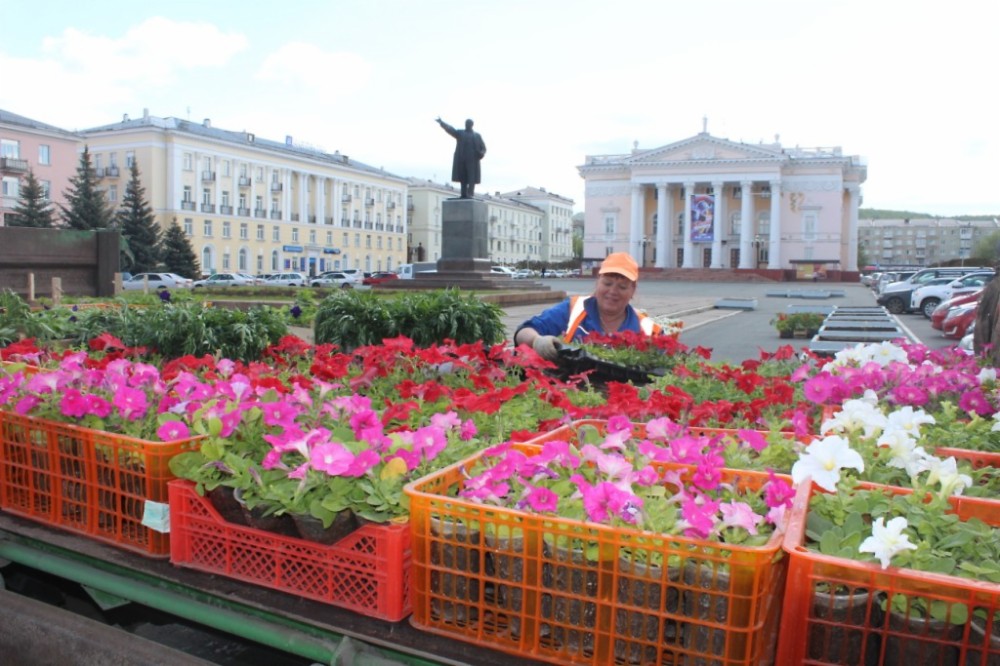 Тюльпаны В Железногорске Курской Области Купить