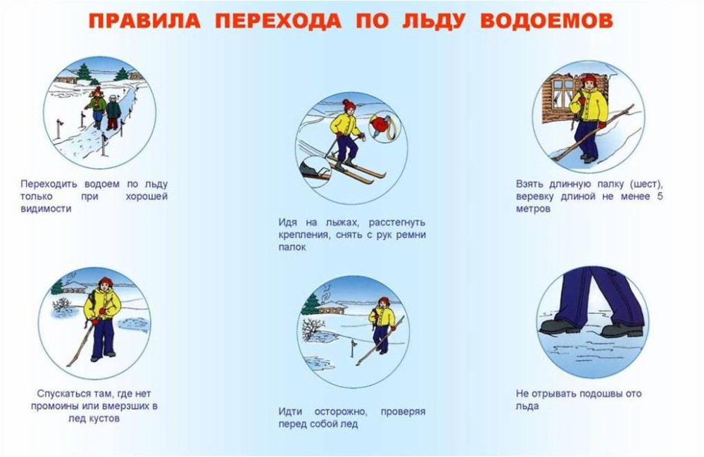 Формирование ЗОЖ студентов. Воспитательная работа. Сведения об образовательной о